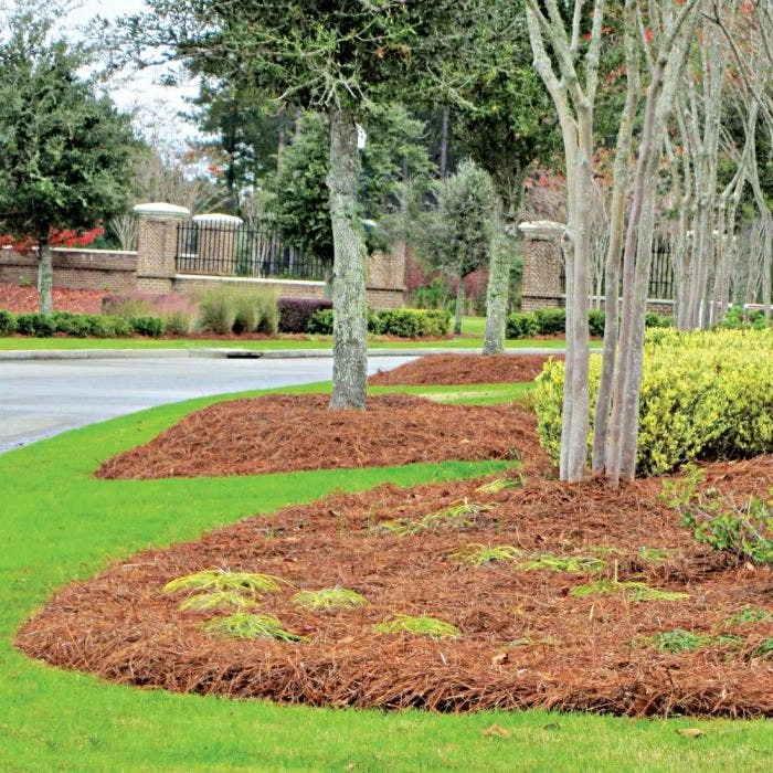 CleanStraw Premium Pine Straw Pallet Of 40 Bags 5 CleanStraw Premium Pine Straw Pallet Of 40 Bags - Image 3