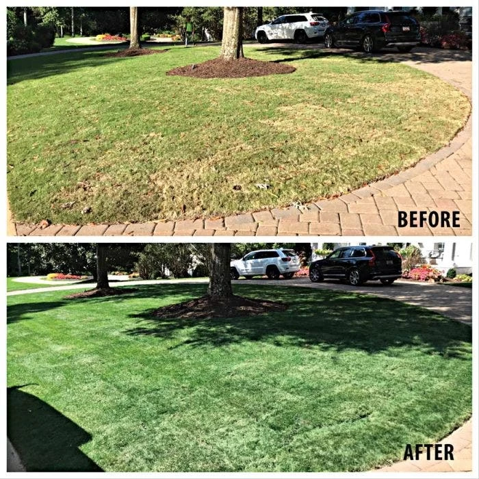 GURUgrass™ Premium Grass Colorant - 1 Quart 4 GURUgrass™ Premium Grass Colorant - 1 Quart - Image 2