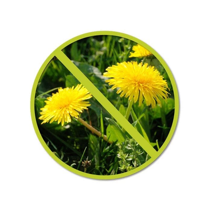 The Andersons 22-0-4 Turf Fertilizer With Trimec Post-Emergent Herbicide, 40lb Bag 5 The Andersons 22-0-4 Turf Fertilizer With Trimec Post-Emergent Herbicide, 40lb Bag - Image 3