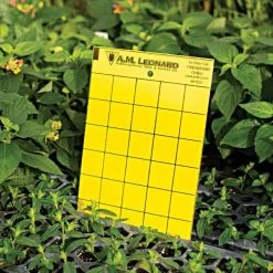 Leonard Double-Sided Sticky Insect Traps, Pack Of 25 -Garden Store am yb25 2