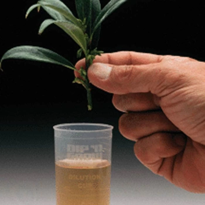 Dip 'N Grow Rooting Concentrate 2oz. 4 Dip 'N Grow Rooting Concentrate 2oz. - Image 2