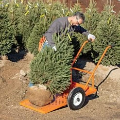 Leonard Flatbed 2-Wheel Nursery Cart, 2ft X 4ft Low Deck, 850 Lb Capacity -Garden Store f2448lw 5 1