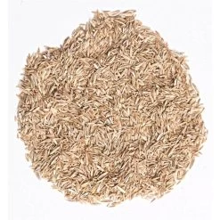 Garden Store -Garden Store fair25 1 1