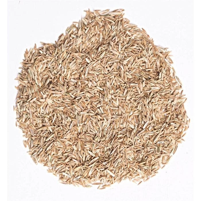 Fairlawn Blue And Rye Mix, 25 Lb Bag 4 Fairlawn Blue And Rye Mix, 25 Lb Bag - Image 2