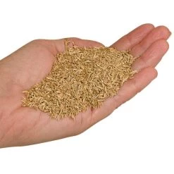 Fairlawn Blue And Rye Mix, 25 Lb Bag 8 Fairlawn Blue And Rye Mix, 25 Lb Bag -Garden Store fair25 2 1