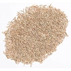 Garden Store -Garden Store flsh5 1 1