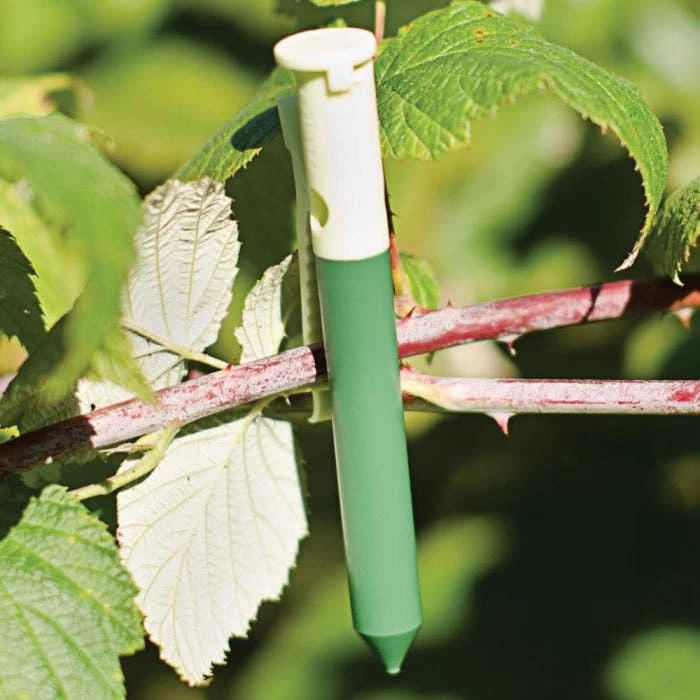 Deer & Rabbit Repellent Garlic Clips, Pack Of 50 4 Deer & Rabbit Repellent Garlic Clips, Pack Of 50 - Image 2