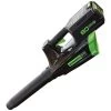 Greenworks Pro 80V Li-Ion Cordless Blower With Battery And Charger 1 Greenworks Pro 80V Li-Ion Cordless Blower With Battery And Charger -Garden Store gbl320