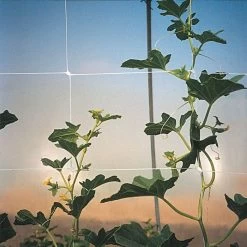 Hortonova Trellis Netting, 4 Feet X 328 Feet -Garden Store htn4328 4