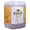MAMMOTH P, 5 Gallon Bottle 2 MAMMOTH P, 5 Gallon Bottle -Garden Store mp5g
