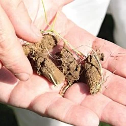 Brinly Tow-Behind Plug Aerator -Garden Store pa48 3