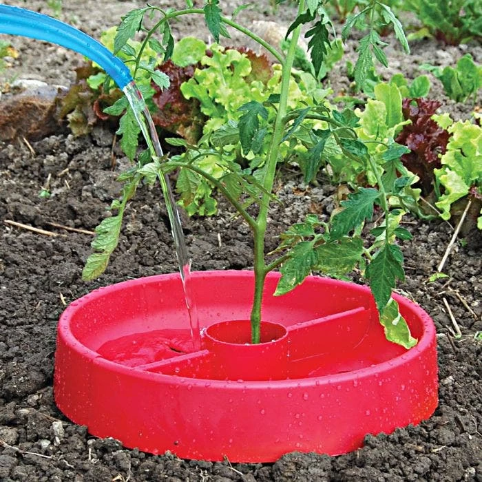 Tomato Crater, 3-pack 6 Tomato Crater, 3-pack - Image 4