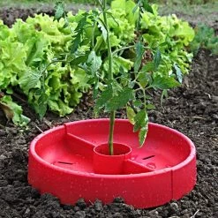 Tomato Crater, 3-pack 18 Tomato Crater, 3-pack -Garden Store tc3 4