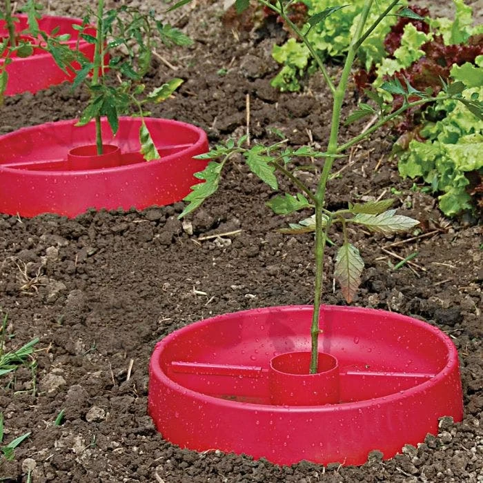 Tomato Crater, 3-pack 10 Tomato Crater, 3-pack - Image 8