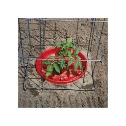 Tomato Crater, 3-pack 22 Tomato Crater, 3-pack -Garden Store tc3 8