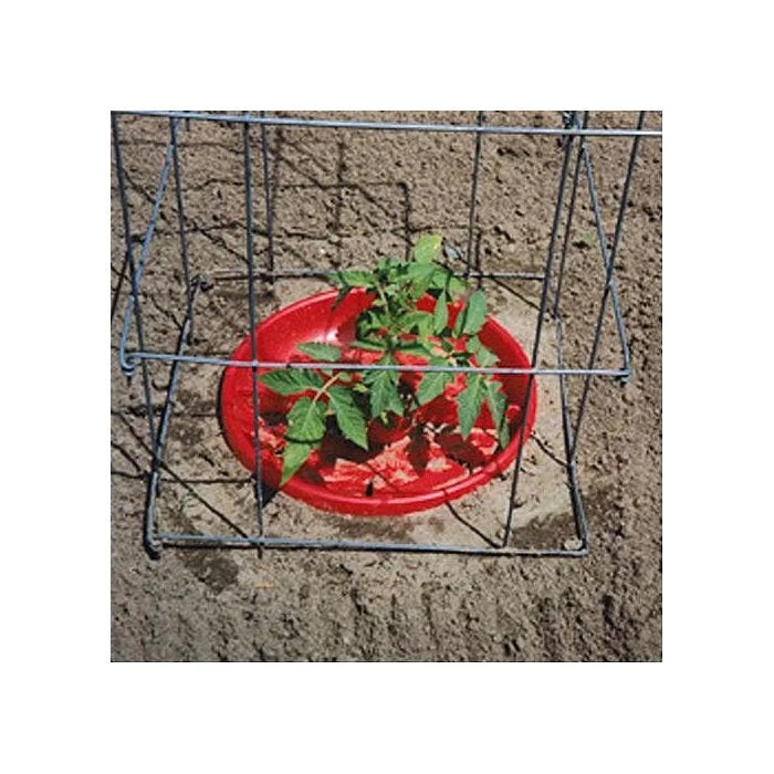 Tomato Crater, 3-pack 11 Tomato Crater, 3-pack - Image 9
