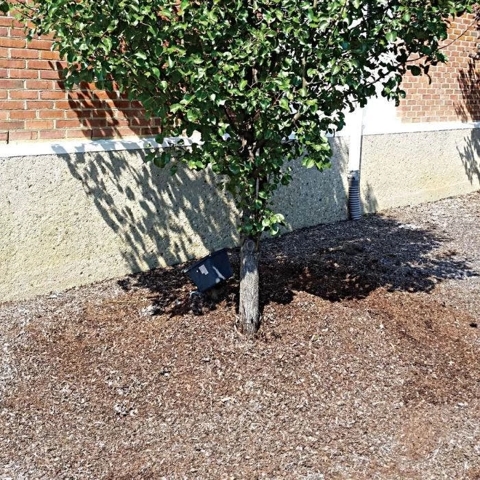 48" Round TreeDiaper® Landscaper Pro, Pack Of 6 4 48" Round TreeDiaper® Landscaper Pro, Pack Of 6 - Image 2