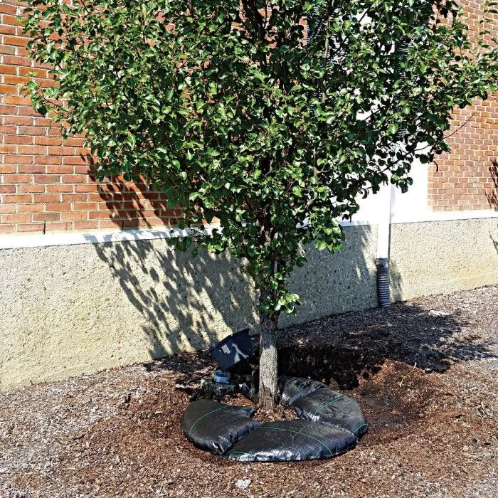 TreeDiaper® 48", Round 3 TreeDiaper® 48", Round