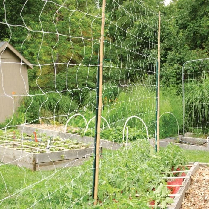 Hortonova Trellis Netting, 6-1/2 Feet X 30 Feet 13 Hortonova Trellis Netting, 6-1/2 Feet X 30 Feet - Image 11