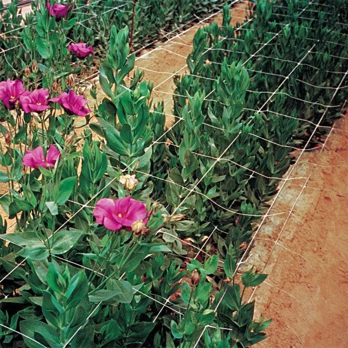 Hortonova Trellis Netting, 6-1/2 Feet X 30 Feet 17 Hortonova Trellis Netting, 6-1/2 Feet X 30 Feet - Image 15