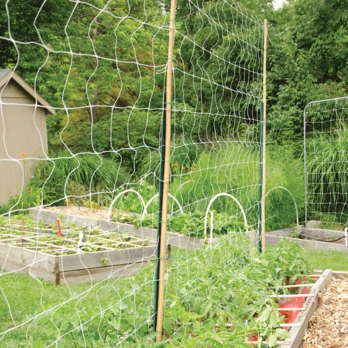 Hortonova Trellis Netting, 6-1/2 Feet X 30 Feet 8 Hortonova Trellis Netting, 6-1/2 Feet X 30 Feet - Image 6