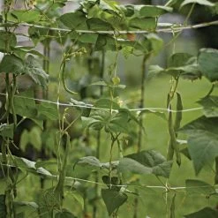 Hortonova Trellis Netting, 6-1/2 Feet X 30 Feet 28 Hortonova Trellis Netting, 6-1/2 Feet X 30 Feet -Garden Store tn630 6