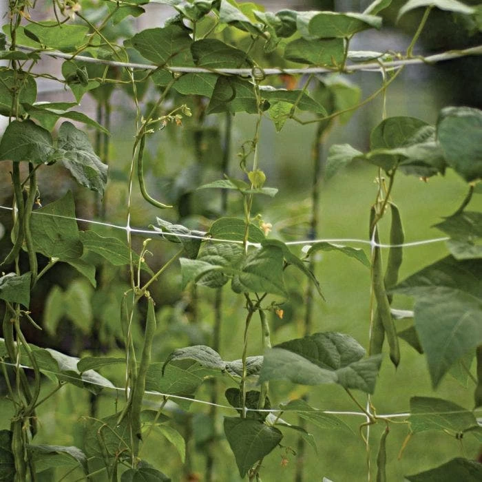 Hortonova Trellis Netting, 6-1/2 Feet X 30 Feet 9 Hortonova Trellis Netting, 6-1/2 Feet X 30 Feet - Image 7