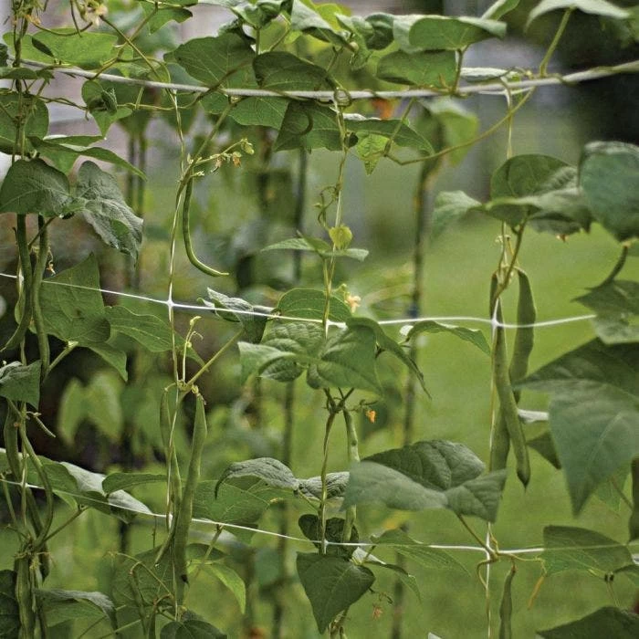 Hortonova Trellis Netting, 6-1/2 Feet X 50 Feet 15 Hortonova Trellis Netting, 6-1/2 Feet X 50 Feet - Image 13