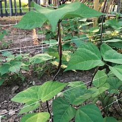 Hortonova Trellis Netting, 6-1/2 Feet X 50 Feet 39 Hortonova Trellis Netting, 6-1/2 Feet X 50 Feet -Garden Store tn650 17