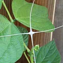 Hortonova Trellis Netting, 6-1/2 Feet X 50 Feet 31 Hortonova Trellis Netting, 6-1/2 Feet X 50 Feet -Garden Store tn650 9