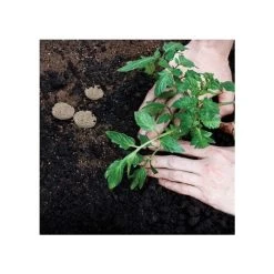 Grotab 3-in-1 Premium Plant Starter (12-8-4) -Garden Store vp gt 3