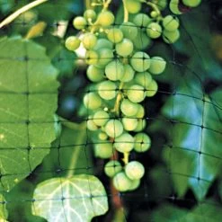 No Tangle Heavy Duty Bird Netting -Garden Store vp hdn 2