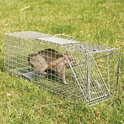 Live Animal Traps -Garden Store vp lat 6