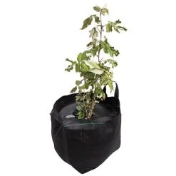 TreeDiaper Twin Packs -Garden Store vp tdtwin 8