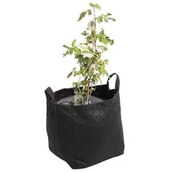 TreeDiaper Twin Packs -Garden Store vp tdtwin 9