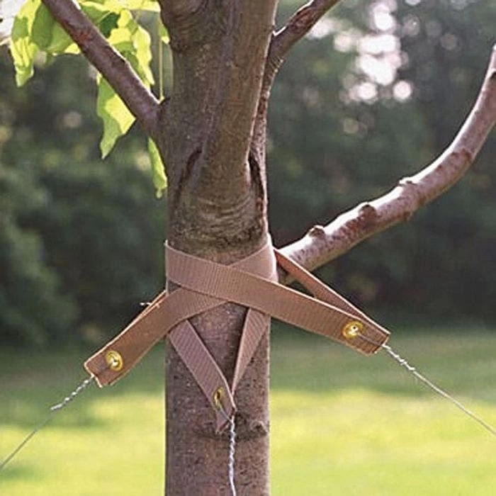 The Original Treestrap 4 The Original Treestrap - Image 2