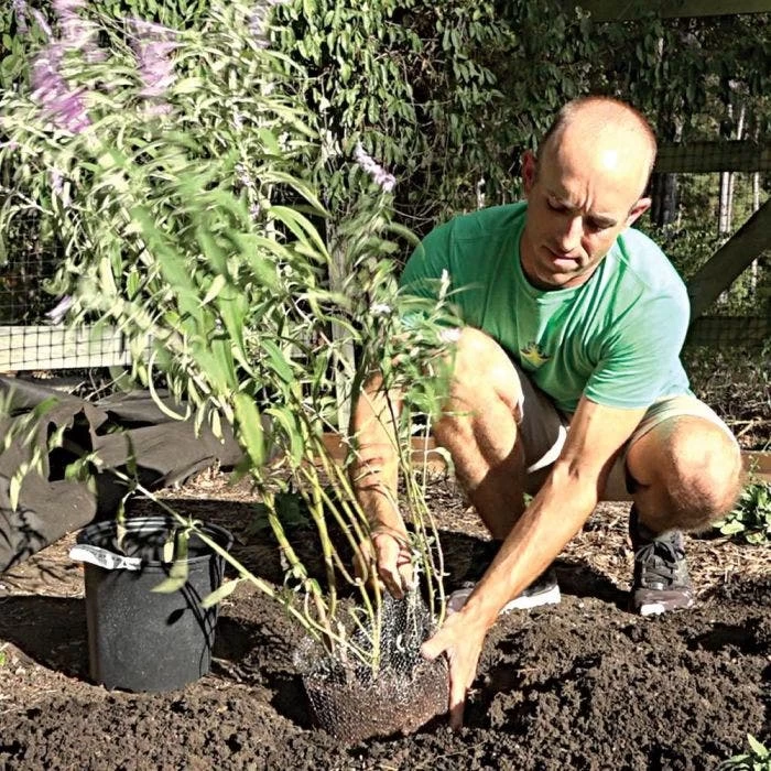 Vole King Plant Baskets 10 Vole King Plant Baskets - Image 8